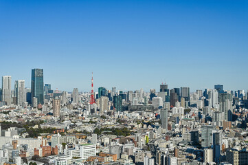 Obraz premium 日本東京の都市風景
