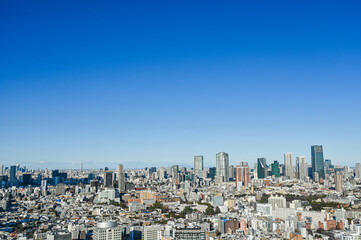 Fototapeta premium 日本東京の都市風景