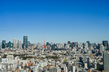 Fototapeta premium 日本東京の都市風景