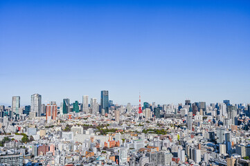 Fototapeta premium 日本東京の都市風景