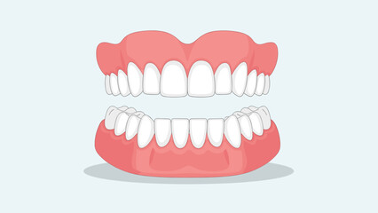 Obraz premium Realistic full set of upper and lower dentures, showcasing prosthetic teeth for dental care and oral health solutions.