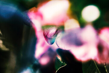 Abstract Motion Blur Background with Soft Color Bokeh, Dreamy Defocused Light Texture for Creative Design and Modern Visual Projects