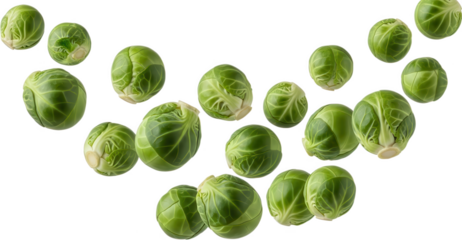 A collection of fresh bright green Brussels sprouts scattered across the frame showing layered leaf textures and pale bottoms vegetable healthy food brassica cruciferous transparent background