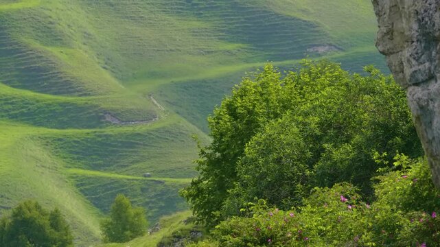 aerial footage captures the stunning natural beauty of Matlas Canyon in Dagestan, part of the Caucasus Mountains. The landscape features rolling, verdant hills covered in lush greenery, distinct terra