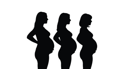Three pregnant women's silhouettes show the progression of pregnancy.