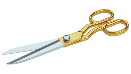 Gold-Plated Scissors