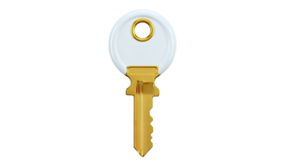 Golden Key with White Bow