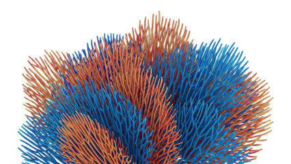 Red and Blue Coral-like Structures