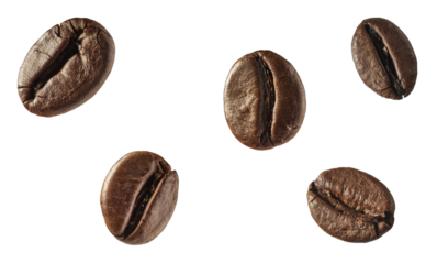 Flat lay set of roasted coffee beans isolated on white background. Top view collection of aromatic arabica grains. Caffeine ingredient pattern.