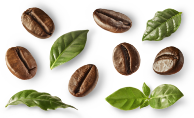 Set of roasted coffee beans, fresh green leaves isolated on white background. Top view collection. Soluble and grain caffeine ingredients.