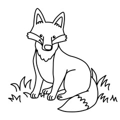 Obraz premium Fox sketch drawing