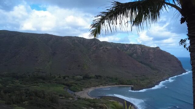 palm trees on the coast of a tropical island
