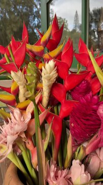 Slow pan of red and yellow tropical flowers