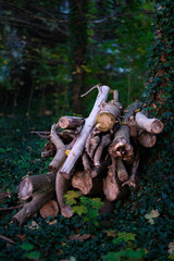 Morceaux de bois coup&eacute;s et entass&eacute;s