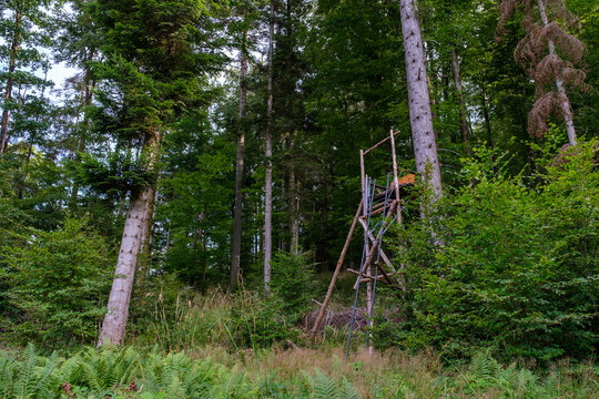 Mirador de chasse