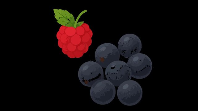 Red raspberry and dark blueberries on black background Keywords: raspberry, blueberries, berries
