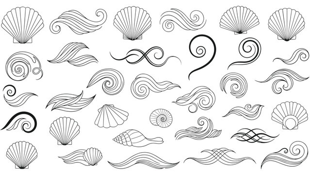 Large collection of black and white sea themed design elements including various seashells and decorative oceanic wave swirls.