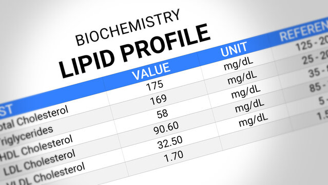 Lipid Profile Test Report. Cholesterol Analysis, Heart Health Screening, LDL, HDL, Triglyceride Levels, Cardiovascular Risk Assessment, Clinical Insights. Lipid Profile Test Report. 2D Illustration