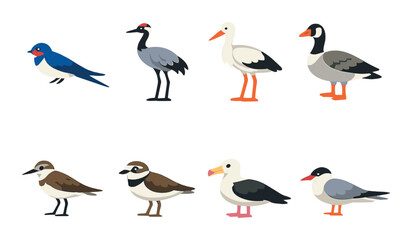 Fototapeta premium Colorful cartoon birds collection featuring eight distinct species on a neutral background