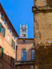 Obraz premium The majestic bell tower of Siena's Duomo rises elegantly behind the old houses, blending seamlessly into the city's historic urban fabric beneath a clear blue sky. Travel in Italy.
