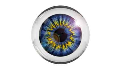 Close-up of a Blue and Yellow Human Iris with Lens Flare