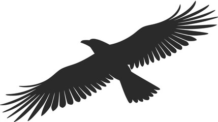 Fototapeta premium a bird in flight with wings spread wide silhouette high quality professional detailed modern elegant stylish