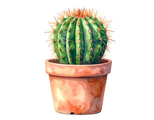 Potted Cactus Plant with Sharp Spines.