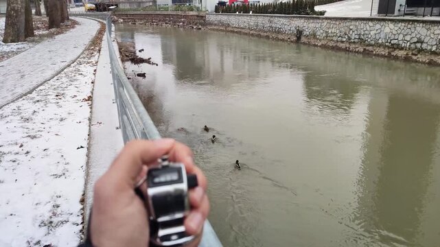 Counnting water birds, clicker, Kiseljak, Bosnia and Herzegovina