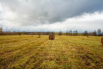 A mown field in late autumn on a cloudy day