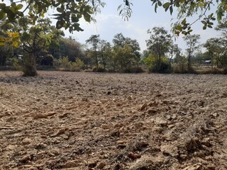 Areas that have been plowed under in preparation for cultivation.