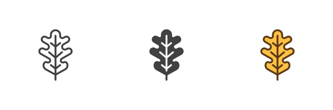 Oak leaf icon set in line, solid and filled outline colorful style. Autumn oak foliage icon, color vector sign and symbol.