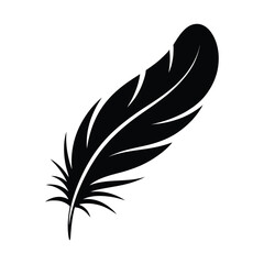 Obraz premium Silhouette of a single black feather on white background