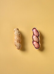 땅콩, 견과류, 콩류, 알레르기, 컨셉, 궁굼하다, 속이 알차다, 하나, 까다, 수확, 재배, 재료, 잼