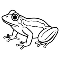 Fototapeta premium Frog line art vector