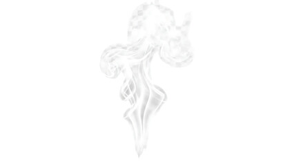 Obraz premium Elegant white smoke design