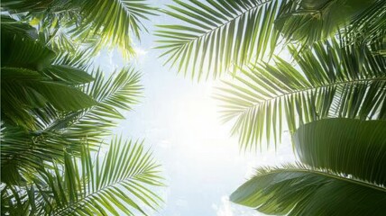 Green tropical leaves and palm fronds creating a natural frame, ambient sunlight filtering jungle canopy through dense