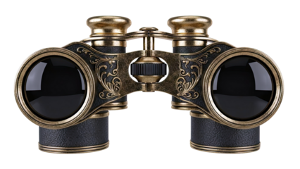 Antique Gold and Black Binoculars with Ornate Details