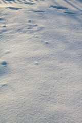 Naklejka premium Close up of fresh sparkling snow texture in winter sunlight