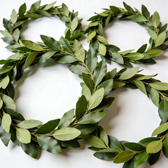 Wreaths made of fresh bay leaves arranged on white background  