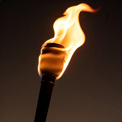 Flaming torch with vibrant fire against dark background  