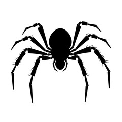 Obraz premium Detailed black silhouette of a spider with hairy legs. Pictogram of nature, danger, or Halloween. Vector illustration.