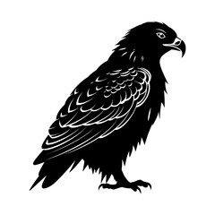 Obraz premium Detailed black silhouette of a standing eagle or falcon. Stylized drawing in graphic art style. Pictogram of majesty and power. Vector illustration.
