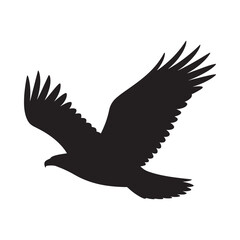 Obraz premium A striking silhouette of a bird in mid flight wings fully extended