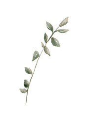 Obraz premium Watercolor leaves