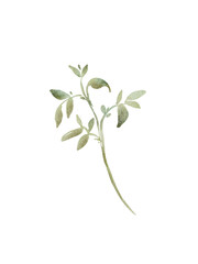 Obraz premium Watercolor leaves