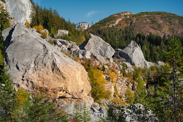 Felssturz in den Alpen