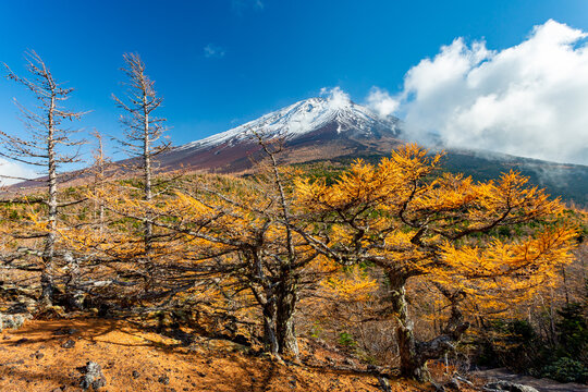 Mt. Fuji, Japan. Trail around 5th station