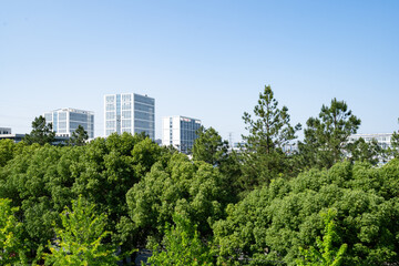 Modern buildings rise above lush green trees © zhu difeng