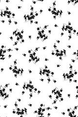 Minimalist Seamless Pattern with Delicate Black Floral Branches on White Background