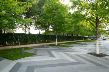 Paved road with lush green trees and hedges